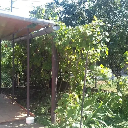 Apartment Andi Ueduelohaz Szolnok